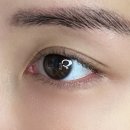 동래구 컬러렌즈 멜팅헤이즈 원데이 착용 후기 :: 눈사랑안경 위드렌즈 동래메가마트 후문점