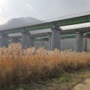 전곡근린공원2 티스토리