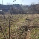 미소지음공인중개사사무소 이미지