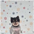 퍼피살롱 이미지