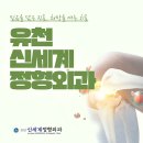 유천신세계정형외과의원 | 대전 중구 정형외과, 일상 속 균형을 지키는 십자인대 이야기