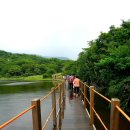 사라의 정원 이미지