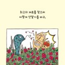별별케이크 네이버블로그