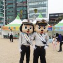 쎄나클 | 자원봉사 / 광안리 어방축제 자원봉사 후기 (+ 광안리 까페 쎄나클)