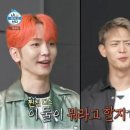 코쿤 이미지