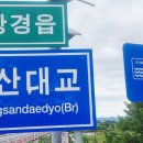 막동농장 Daum카페