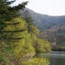 딸기민박