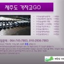 제주도가자고