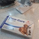 증산약국 | 노령견 노견 방광염 혈뇨 약 항생제 콩팥 검사 비용 한 달 후기