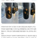 모던복싱클럽 향동 이미지