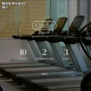 베어짐 | 대전 헬스장 헬스장 베어짐 복수점 PT 헬스 내용가격운영시간주차리뷰 알아보기