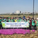 장안교차로 이미지