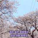 와동구판장 화장실 이미지