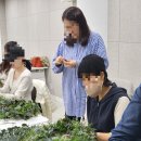살랑살랑 봄꽃 클래스 네이버블로그