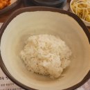 시골애 이미지