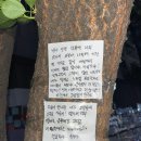 문(MOON) 이미지