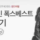 폭스스킨 이미지