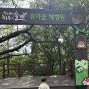 창원 아이랑 갈만한곳 | 창원편백 치유의숲 유아숲체험원🍀💚