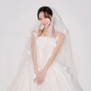 홀리
