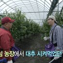 영준농장 이미지