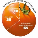 반전 없는 곡물자급률…세계 최하위 수준 이미지