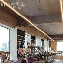 바디업헬스 이미지