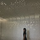 카네기 | 무신사 체험단 후기 | 리드리드 카네기 스웨이드 크로스바디 백