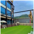 루이애견 이미지