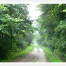 충북알프스자연휴양림 이미지