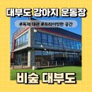 비숲 | 강아지 운동장 독채 대관으로 프라이빗한 비숲대부도 다녀온 후기