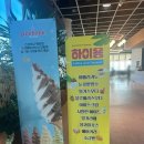 하이용카페