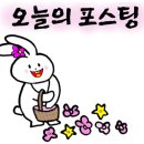 어쩌다미디어