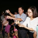 다슬기 반딧불이 이미지