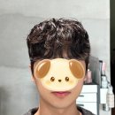 멍뭉미 | 송강,최우식도 하는 그 머리! 영등포 시스루 쉐도우펌으로 멍뭉미 장착 완료