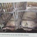 가이아동아리_ &#34;지구를 살리는 영화관&#34;
