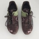 정분이네 이미지