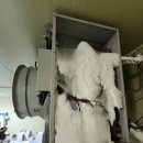 연안마트 정육