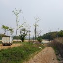 김포 송일야구장 사회인야구 후기
