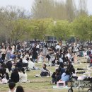 서울봄연합의원 이미지