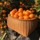 주생농장 이미지