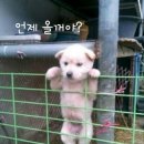 오휘잠실