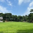 청주 송정동 솔밭공원