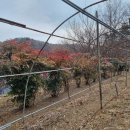 남천할매집 이미지