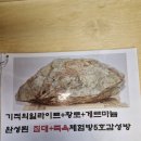 러빙포카라반