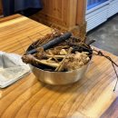 불로초목장 이미지