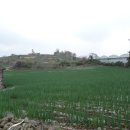 수산리-18 이미지