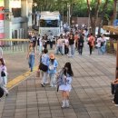 펫블리강아지&미라클고양이 | 귀여운 게 최고야. 짜릿해. 귀여움이 세상을 구한다,.