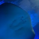 행복수족관 이미지