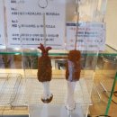 명랑시대쌀핫도그하대점 이미지