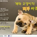 휴 동물병원 이미지